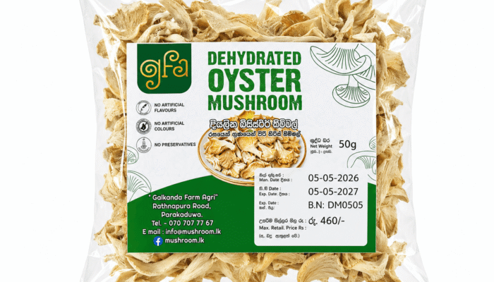 Dehydrated Oyster Mushroom 50g